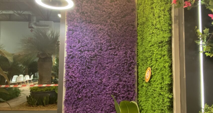 İstanbul Peyzaj 2023-Yaşayan Duvar20  