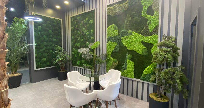 İstanbul Peyzaj 2023-Yaşayan Duvar9  